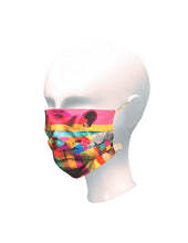 Load image into Gallery viewer, Hippo in Colour Face Mask