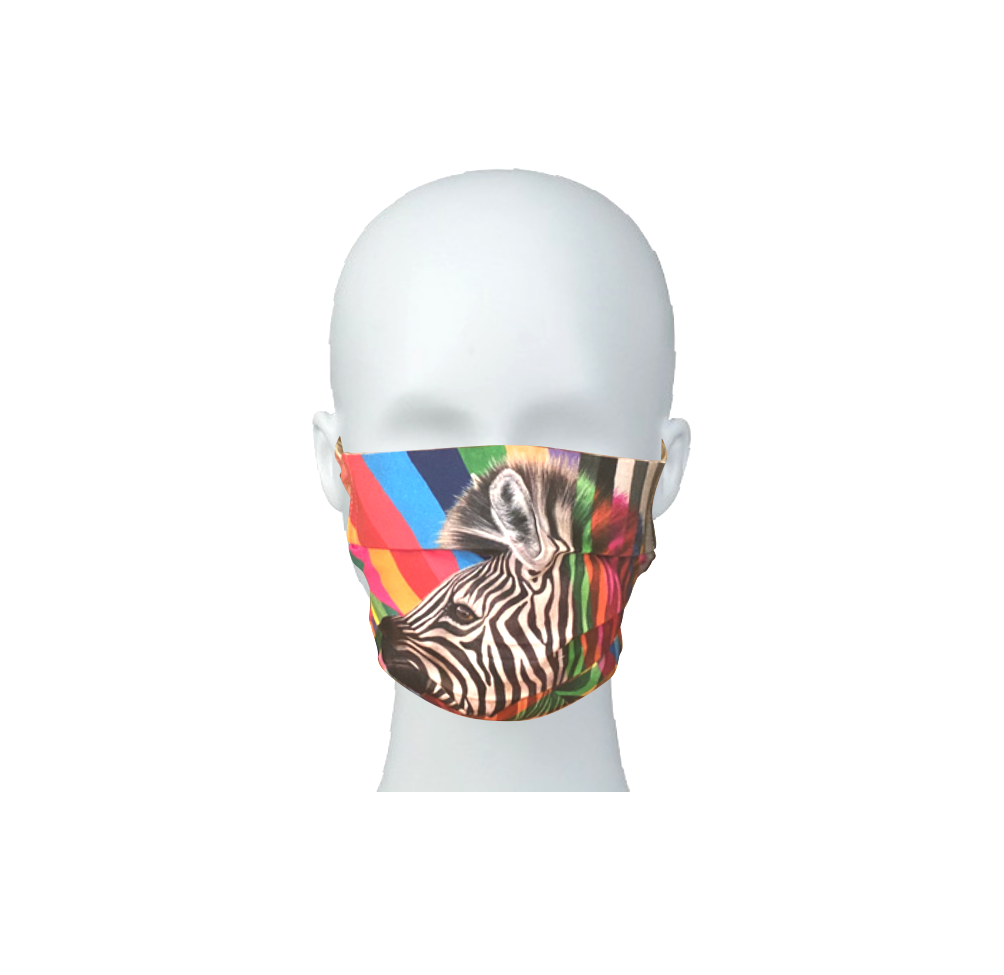 Zebra in Colour Mask