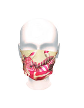 Load image into Gallery viewer, Pink Zebra Mask
